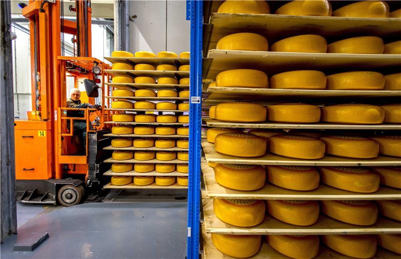 NETHERLANDS ROYAL CHEESE