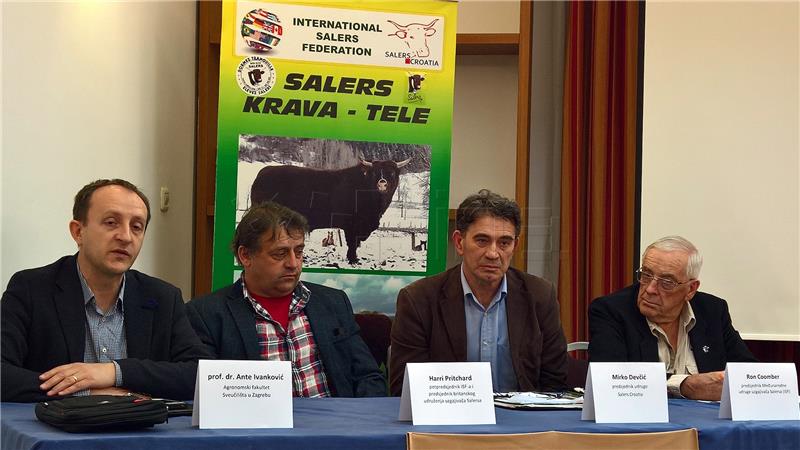 Croatian cattle breeders launch HRK 350 mln project to breed Salers cattle