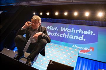 GERMANY PARTIES AFD