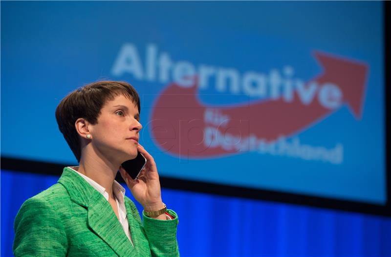 GERMANY PARTIES AFD