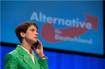 GERMANY PARTIES AFD