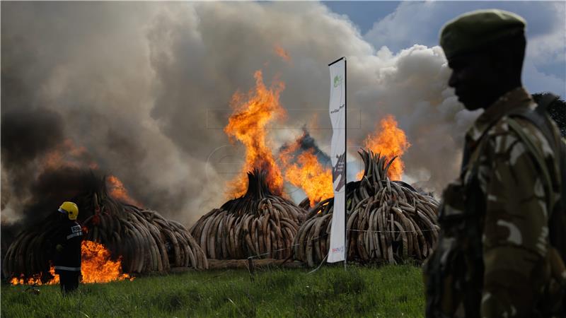 KENYA IVORY BURNING