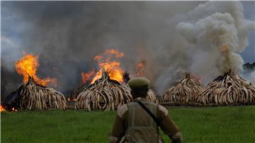 KENYA IVORY BURNING