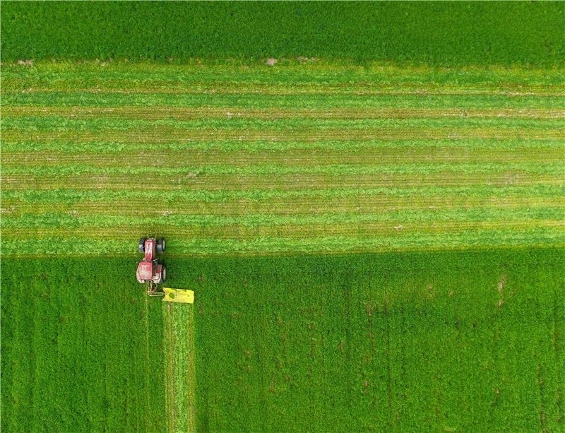 GERMANY ECONOMY AGRICULTURE