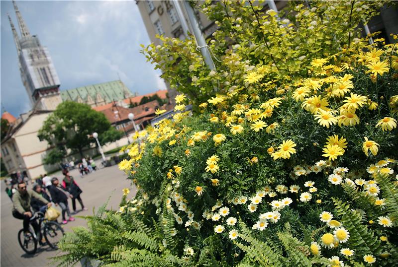 Na Trgu bana Jelačića postavljene žardinjere sa biljkama povodom Floraarta