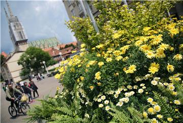 Na Trgu bana Jelačića postavljene žardinjere sa biljkama povodom Floraarta