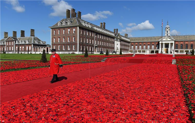 BRITAIN CHELSEA FLOWER SHOW