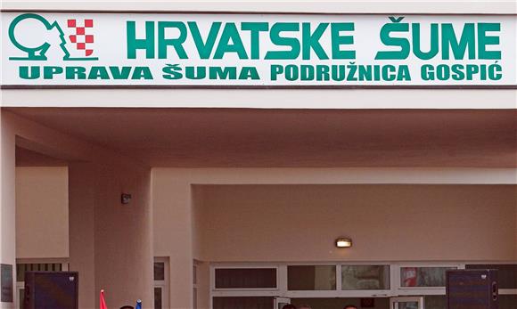 Hrvatske šume lani ostvarile 186,4 milijuna kuna neto dobiti