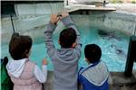 Zagrebački Zoo proslavlja 91. rođendan