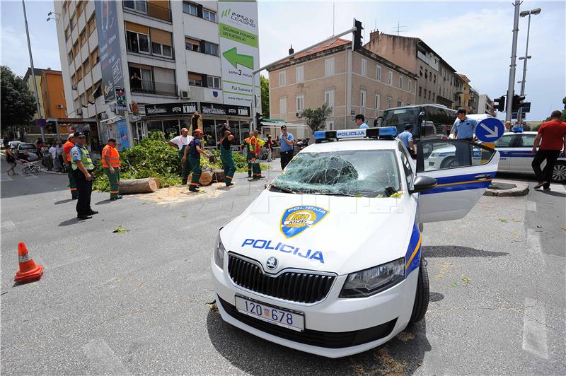 Na policijski auto u vožnji palo stablo - policajci neozlijeđeni