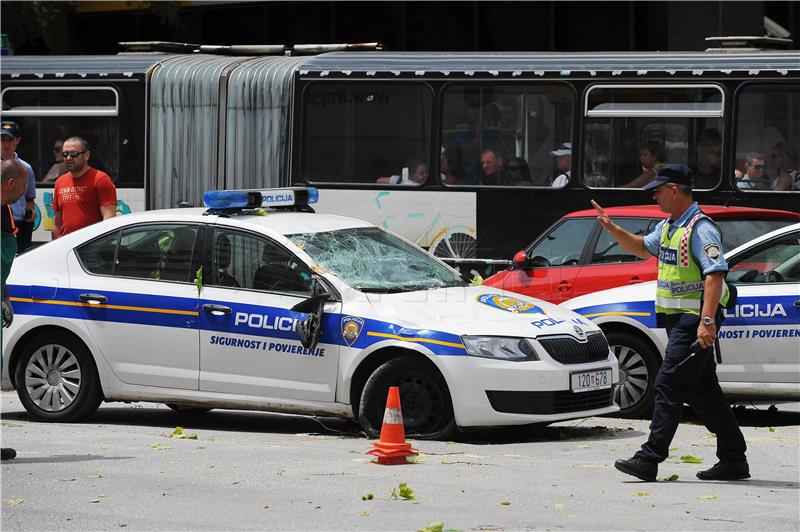 Na policijski auto u vožnji palo stablo - policajci neozlijeđeni