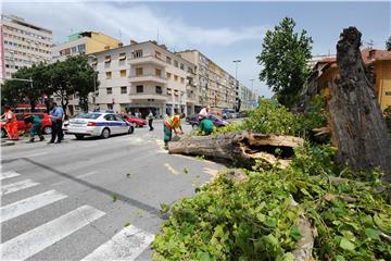 Na policijski auto u vožnji palo stablo - policajci neozlijeđeni