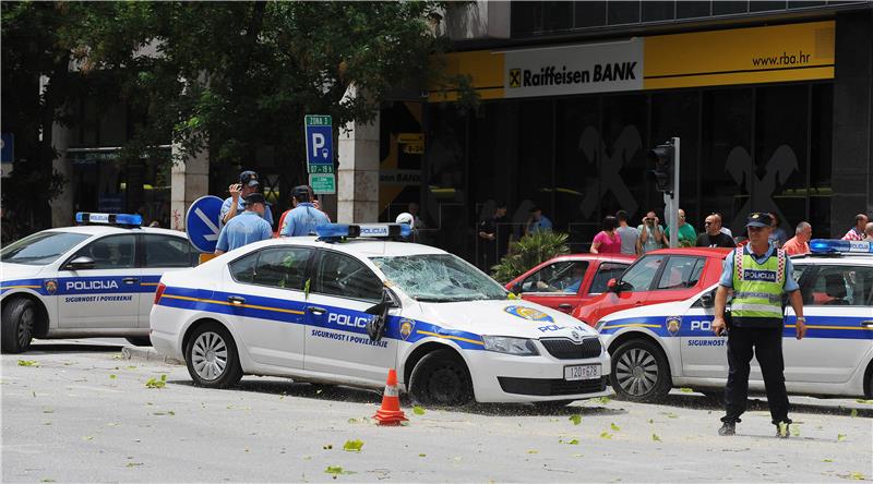 Na policijski auto u vožnji palo stablo - policajci neozlijeđeni