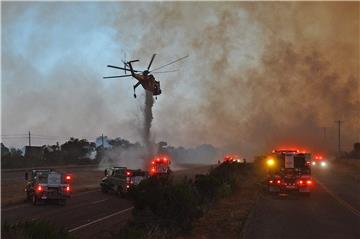 USA CALIFORNIA SHERPA WILDFIRE