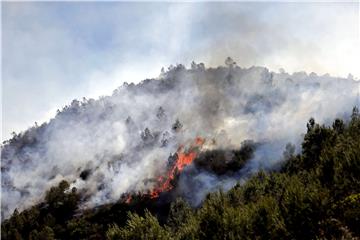 Cipar: u gašenju požara poginula dvojica vatrogasaca, treći kritično