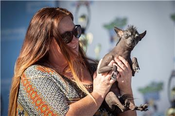 USA WORLDS UGLIEST DOG CONTEST