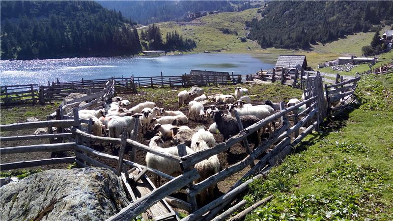 Vranica planina: Tri dana nebeskih pašnjaka 