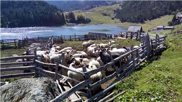 Vranica planina: Tri dana nebeskih pašnjaka