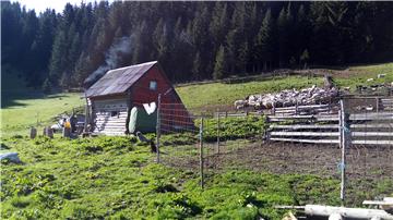 Vranica planina: Tri dana nebeskih pašnjaka