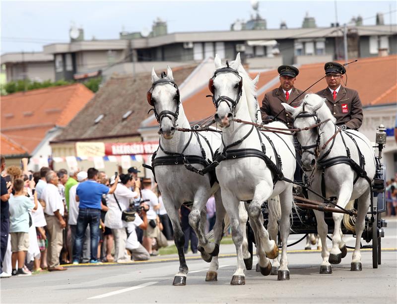 U svečanom mimohodu 50. đakovačkih vezova  gotovo 60 folklornih skupina iz RH i svijeta