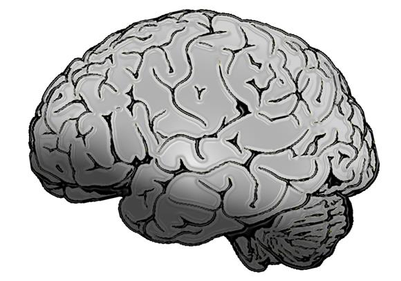 Multitasking je štetan i iscrpljuje mozak - neuroznanstvenici 