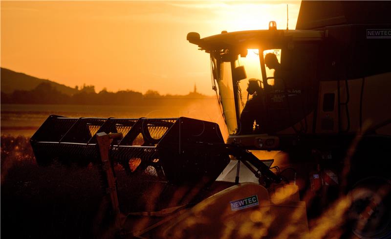 GERMANY AGRICULTURE