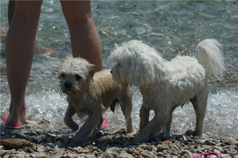 Plaža i kafić za pse u Crikvenici