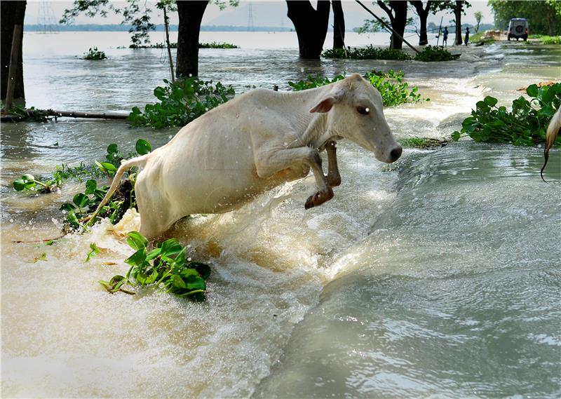 INDIA FLOOD