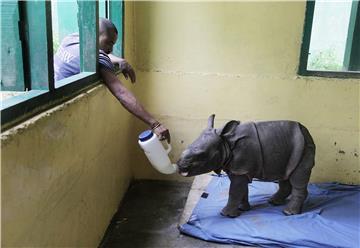 INDAI FLOODS  KAZIRANGA NATIOANL PARK FLOOD