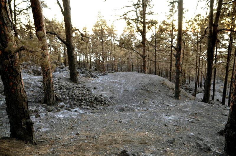 SPAIN FOREST FIRE