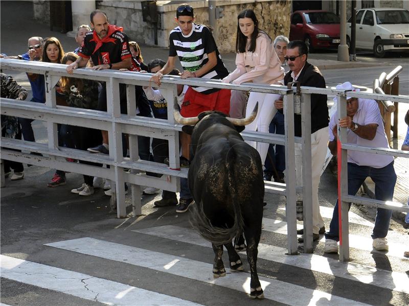 SPAIN TRADITIONS CUELLAR BULL RUN