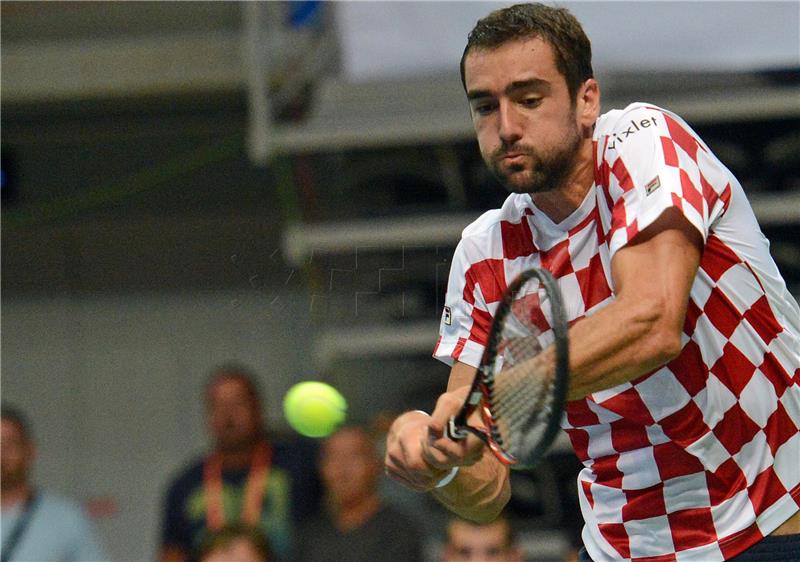 Davis Cup: Čilić - Pouille