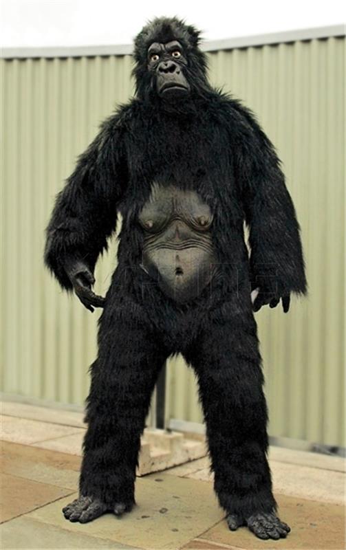 Gorilla suit