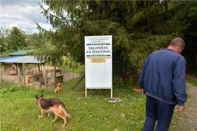 Prijatelji životinja: Grad Karlovac treba odustati od natječaja za sklonište za pse