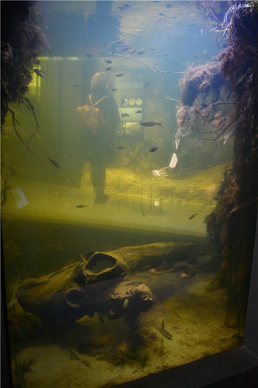 Otvorena Aquatika, prvi slatkovodni akvarij u Hrvatskoj