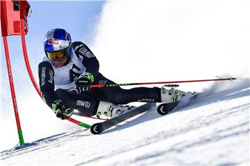 AUSTRIA ALPINE SKIING WORLD CUP