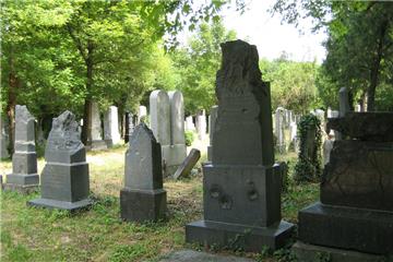 Zentralfriedhof