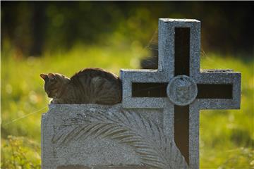 HUNGARY ALL SAINTS' DAY