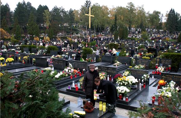 Growing demand for flowers ahead of All Saints' Day