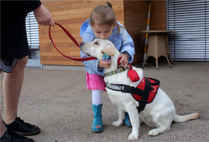 Conference on dog-assisted rehabilitation to be held in Zagreb