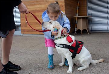 Conference on dog-assisted rehabilitation to be held in Zagreb