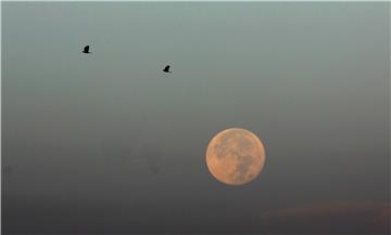 MIDEAST PALESTINIANS NATURE SUPERMOON