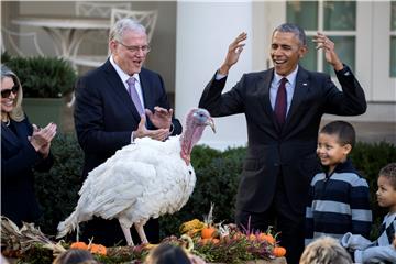 USA OBAMA THANKSGIVING TURKEY