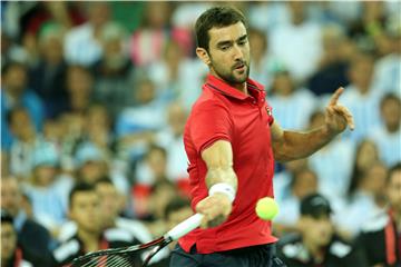 Davis Cup, finale: Čilić - del Potro