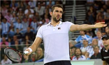 Davis Cup, finale: Čilić - del Potro