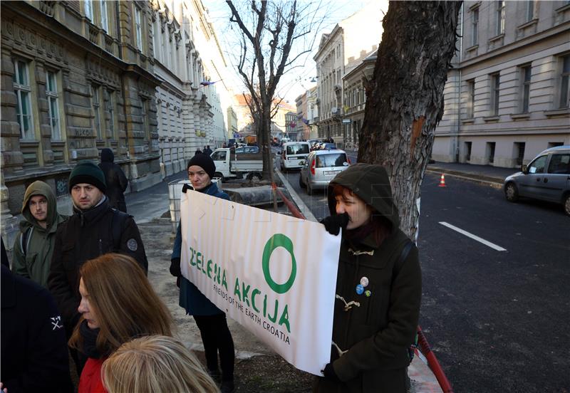 Tiskovna konferencija Zelene akcije povodom mogućeg rušenja stabala