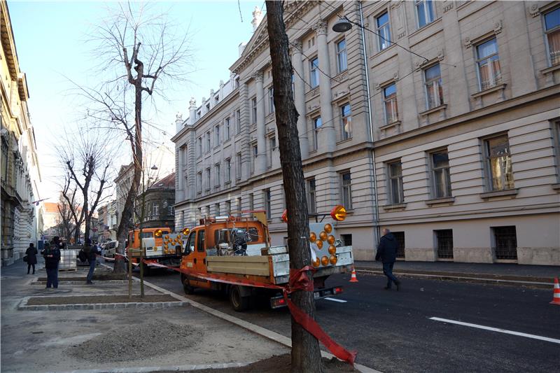 Tiskovna konferencija Zelene akcije povodom mogućeg rušenja stabala