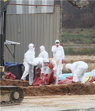 SOUTH KOREA AGRICULTURE AVIAN FLU