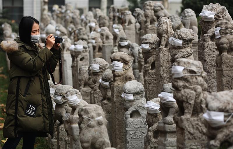 CHINA MASKED STONE LIONS