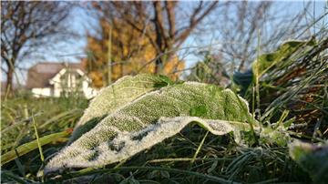  EUR 2.7 mn in aid to frost-stricken areas